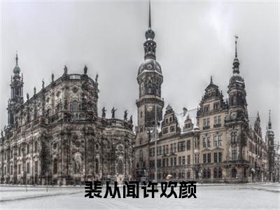 裴从闻许欢颜全文免费阅读-（许欢颜裴从闻）小说全文免费阅读正版无弹窗