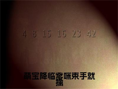 萌宝降临爹咪束手就擒全文免费阅读（秦初初顾子辉免费阅读无弹窗）萌宝降临爹咪束手就擒最新章节列表