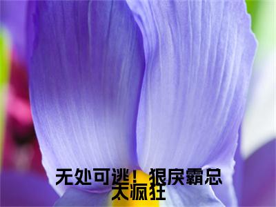无处可逃！狠戾霸总太疯狂全文免费阅读无弹窗大结局_（无处可逃！狠戾霸总太疯狂小说）德安格泽安在线免费阅读