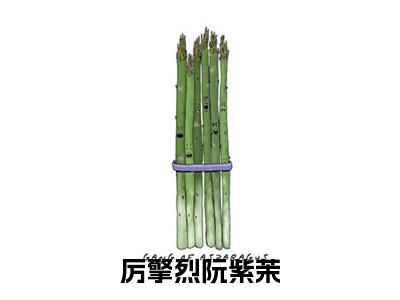 厉擎烈阮紫茉小说（厉擎烈阮紫茉）全文免费阅读无弹窗_厉擎烈阮紫茉最新小说_笔趣阁（厉擎烈阮紫茉）