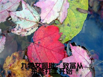 九零女疯批：致富从东莞打工开始全集免费阅读无弹窗_安小五邵平安完结小说榜单阅读（安小五邵平安小说）