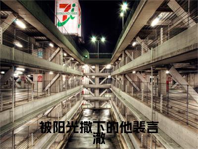 被阳光撒下的他裴言澈全本资源免费阅读结局无删节-林清安裴言澈小说全文阅读无弹窗（被阳光撒下的他裴言澈）