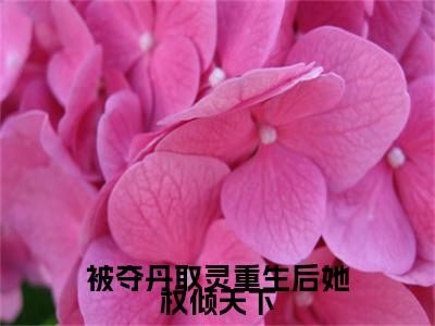 被夺丹取灵重生后她权倾天下小说全文免费阅读_被夺丹取灵重生后她权倾天下（明月）最新章节列表在线阅读