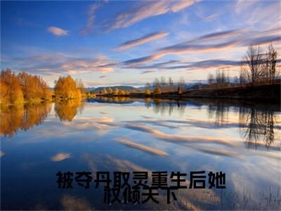 明月全文免费免费阅读无弹窗最新章节列表_笔趣阁（被夺丹取灵重生后她权倾天下全文免费）