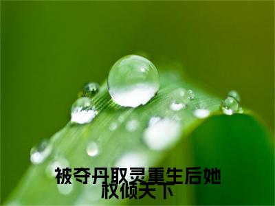 明月免费阅读（被夺丹取灵重生后她权倾天下）全文免费阅读无弹窗大结局_明月免费阅读最新章节列表