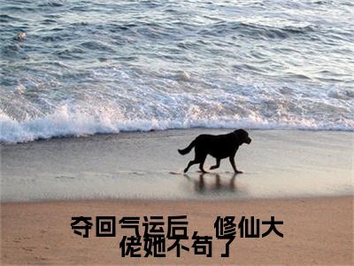 夺回气运后，修仙大佬她不苟了小说（沈云翎）全文免费阅读无弹窗大结局_（夺回气运后，修仙大佬她不苟了）沈云翎小说免费阅读最新章节列表