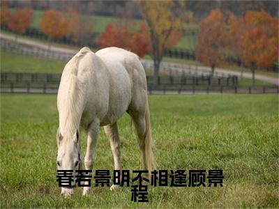春若景明不相逢顾景程小说全文免费阅读-付明嫣顾景程小说最新章节列表