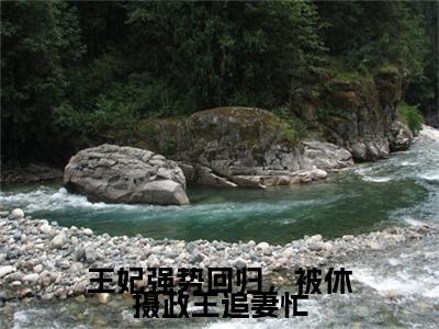 王妃强势回归，被休摄政王追妻忙（南宫铭轩欧阳妙灵）全文免费阅读无弹窗大结局_王妃强势回归，被休摄政王追妻忙最新章节列表_笔趣阁（南宫铭轩欧阳妙灵）