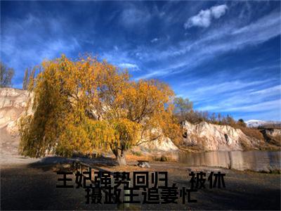 王妃强势回归，被休摄政王追妻忙小说最新章节在线阅读_王妃强势回归，被休摄政王追妻忙在线阅读