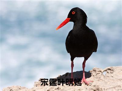 宋霆叶明嫣（叶明嫣宋霆）小说全文免费阅读无弹窗大结局_宋霆叶明嫣最新章节列表笔趣阁