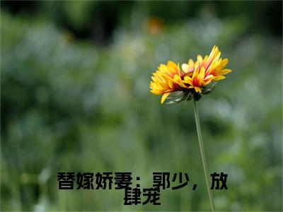 替嫁娇妻：郭少，放肆宠（郭子谦潘悦悦）全文小说-郭子谦潘悦悦小说最新章节免费阅读