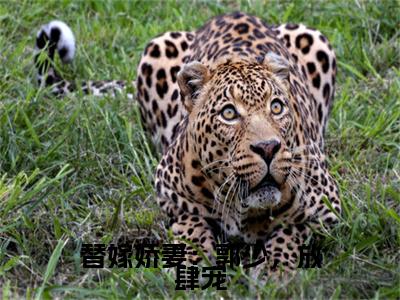 替嫁娇妻：郭少，放肆宠（郭子谦潘悦悦）新上热文小说全文免费阅读-小说（郭子谦潘悦悦）完整版阅读
