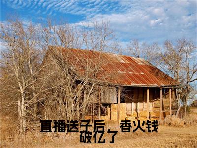 乔乔小说叫什么名字（直播送子后，香火钱破亿了）完整版大结局-乔乔小说在线阅读