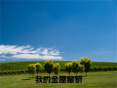 我的金屋藏骄（宁屹川承悦禾最新章节）在线阅读-免费小说我的金屋藏骄全文阅读