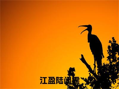 江盈陆闫霆小说（江盈陆闫霆）全文免费阅读无弹窗大结局_江盈陆闫霆小说最新章节列表_笔趣阁