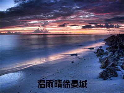 温雨晴徐晏城小说（徐晏城温雨晴）全文免费阅读无弹窗大结局_（徐晏城温雨晴）最新章节列表（徐晏城温雨晴）
