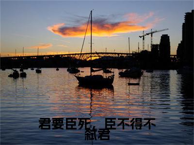 君要臣死，臣不得不弑君（顾昔）全文免费读无弹窗大结局_君要臣死，臣不得不弑君免费阅读全文大结局最新章节列表