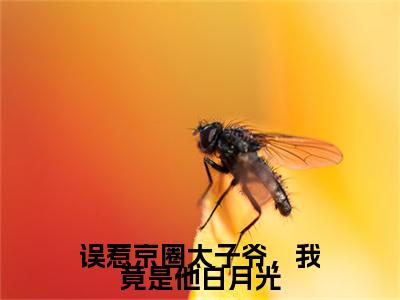 误惹京圈太子爷，我竟是他白月光全文免费阅读无弹窗大结局_（误惹京圈太子爷，我竟是他白月光阅读无弹窗）江茉周业成最新章节列表_笔趣阁（江茉周业成）