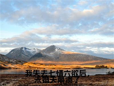我失去七情六欲后，未婚夫崩溃了小说韩靖李月湖大结局阅读-新上热文小说我失去七情六欲后，未婚夫崩溃了（韩靖李月湖）讲的是什么