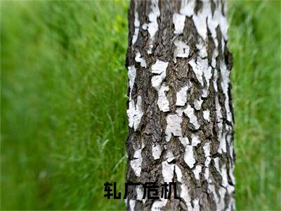 轧厂危机全文免费阅读_轧厂危机（李斌免费阅读无弹窗）李斌最新章节列表笔趣阁