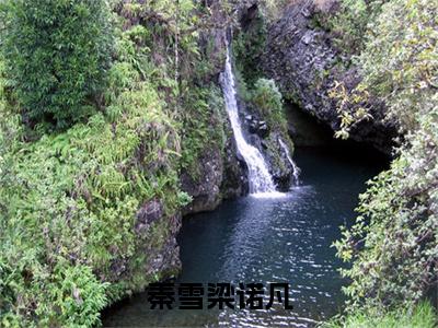 梁诺凡秦雪（秦雪梁诺凡）的小说完整版免费阅读主角是（梁诺凡秦雪）秦雪梁诺凡无弹窗免费阅读