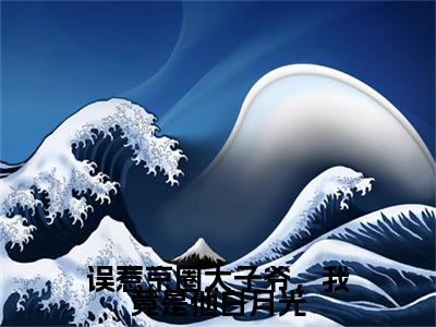 主角为江茉周业成的小说-误惹京圈太子爷，我竟是他白月光（江茉周业成）全文最新完整版阅读