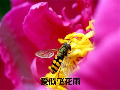 向远安凝裴斯年全文（爱似飞花雨）全文免费阅读无弹窗大结局_向远安凝裴斯年免费最新章节列表_笔趣阁（爱似飞花雨）