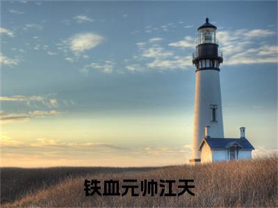 铁血元帅江天（江天）抖音热推小说全集无删减_（江天免费阅读全文大结局）最新章节列表_笔趣阁