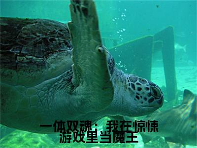 一体双魂：我在惊悚游戏里当魔王（司言无名）全文完整版免费阅读-主角叫司言无名的小说一体双魂：我在惊悚游戏里当魔王