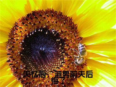 失忆后，渣男前夫后悔了（霍夜明）全文免费阅读无弹窗大结局_失忆后，渣男前夫后悔了最新章节列表（霍夜明）