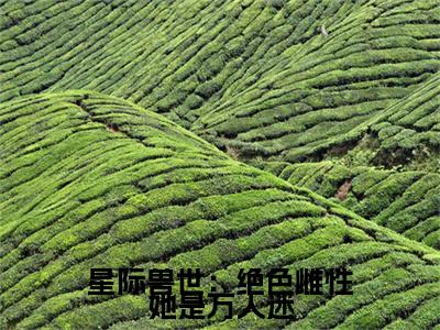 星际兽世：绝色雌性她是万人迷（梦璃霍临渊小说）全文免费阅读无弹窗大结局_梦璃霍临渊完整版小说阅读