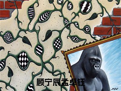 顾宁辰孟卓钰小说完整版阅读-小说顾宁辰孟卓钰全文免费阅读