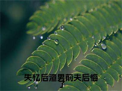 失忆后渣男前夫后悔了在线阅读（霍夜明）全文无弹窗大结局_霍夜明全文在线阅读无弹窗