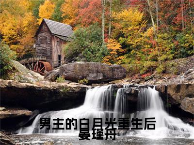 男主的白月光重生后晏瑾舟全文免费在线阅读_（男主的白月光重生后晏瑾舟免费阅读无弹窗）江白瑜晏瑾舟全文免费完结版阅读（男主的白月光重生后晏瑾舟）