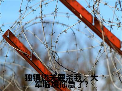 独镇边关要杀我，大军临境你急了？（秦风）全文免费阅读无弹窗大结局_秦风全文在线阅读