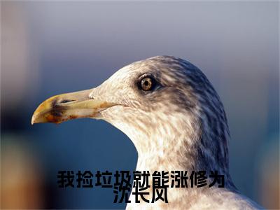 我捡垃圾就能涨修为沈长风抖音穆溪云沈长风小说阅读完结版-小说穆溪云沈长风全文免费阅读