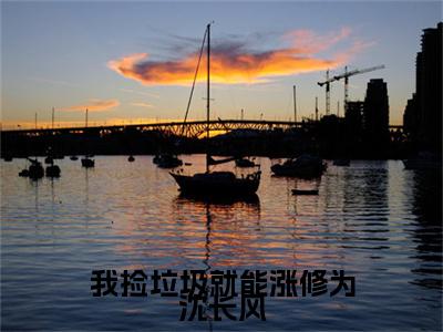 （我捡垃圾就能涨修为沈长风）在线阅读-主角是（穆溪云沈长风）的小说我捡垃圾就能涨修为沈长风全文赏析最新章节列表_笔趣阁