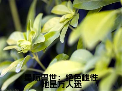 梦璃霍临渊全文免费阅读大结局星际兽世：绝色雌性她是万人迷最新章节列表（全文）+（番外）