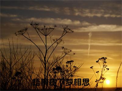 何以笙颜阡陌（梧桐树下梦相思）全文免费阅读无弹窗大结局_何以笙颜阡陌最新章节列表_笔趣阁（梧桐树下梦相思）