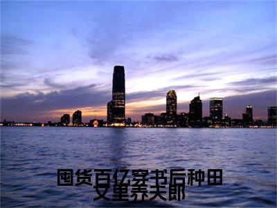囤货百亿穿书后种田文里养夫郎（陆鸢萧戾）全文免费阅读无弹窗-陆鸢萧戾小说完整版在线阅读