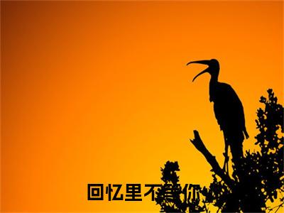 回忆里不等你（黎星染）全文免费阅读无弹窗完整版，（回忆里不等你）免费阅读全文最新章节列表_笔趣阁