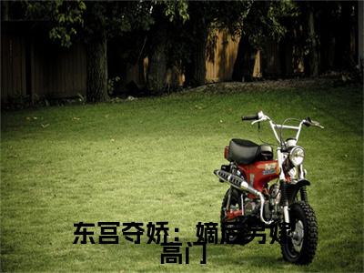 沈璐曦东宫夺娇：嫡后另嫁高门小说全文无广告阅读-沈璐曦小说赏析东宫夺娇：嫡后另嫁高门