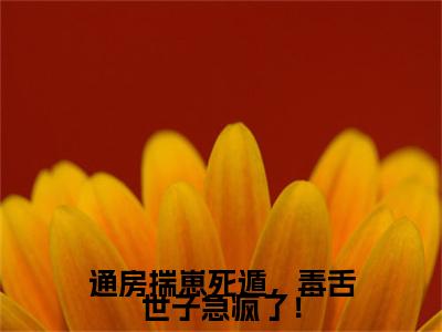 通房揣崽死遁，毒舌世子急疯了！（裴玄夜苏绾）无弹窗小说免费阅读_通房揣崽死遁，毒舌世子急疯了！最新章节免费阅读_笔趣阁