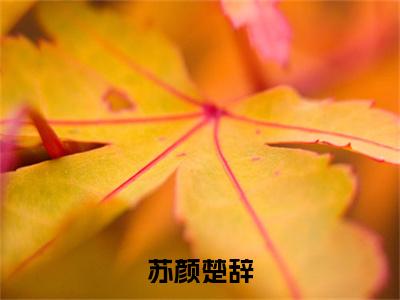 苏颜楚辞（苏颜楚辞）小说全文免费阅读无弹窗-苏颜楚辞小说全文免费阅读大结局笔趣阁
