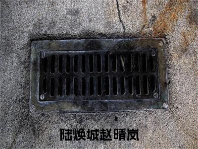 好书推荐小说陆焕城赵晴岚（赵晴岚陆焕城）-陆焕城赵晴岚全文免费阅读大结局