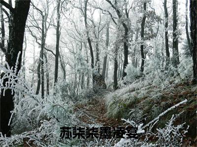 苏柒柒墨凌宴（苏柒柒墨凌宴）全文完整版免费阅读_苏柒柒墨凌宴（苏柒柒墨凌宴全文免费阅读）最新章节列表
