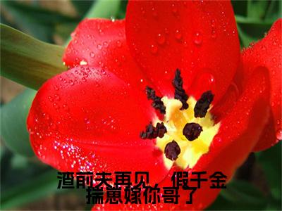 渣前夫再见，假千金揣崽嫁你哥了小说最新试读_裴西洲南知意是（渣前夫再见，假千金揣崽嫁你哥了免费阅读最新章节列表）_笔趣阁（裴西洲南知意）