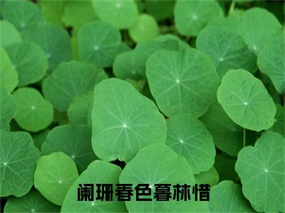 沈业林惜（阑珊春色暮林惜）小说免费下载全本-沈业林惜（阑珊春色暮林惜完整版）免费阅读