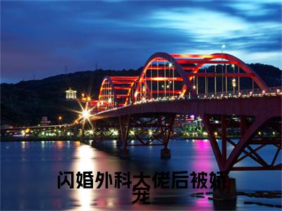 闪婚外科大佬后被娇宠（陈一泽林娴）全文免费阅读无弹窗大结局_闪婚外科大佬后被娇宠最新章节列表（陈一泽林娴）