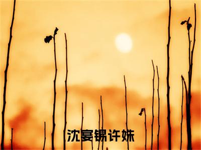 许姝沈宴锡是哪部小说的主角，沈宴锡许姝全文无弹窗完整版阅读